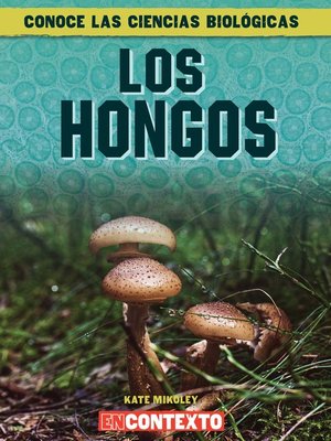 cover image of Los hongos (What Are Fungi?)